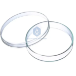 Petri Dish Glass 4”